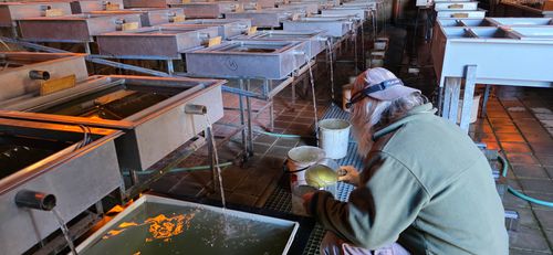 20260407_121058 (1).jpg